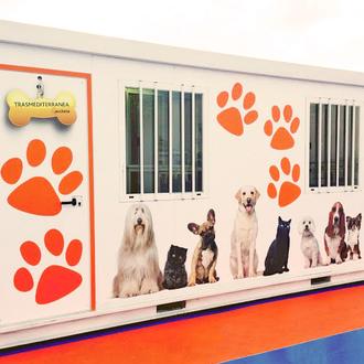 Viajar en Transmediterránea con perro 