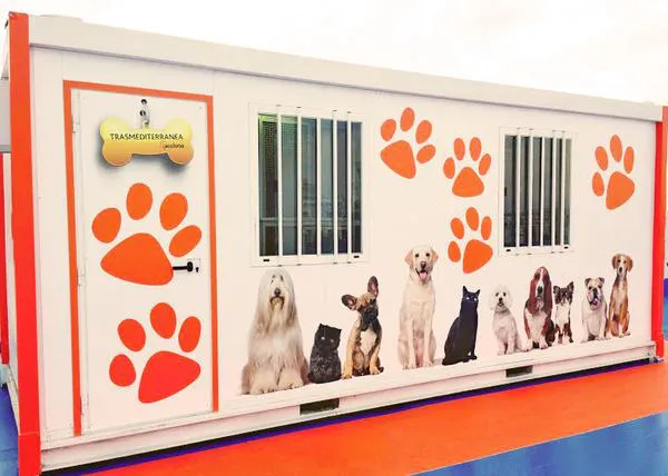 Viajar en Transmediterránea con perro 