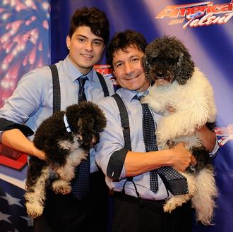 Los perros reinan en la TV: los 