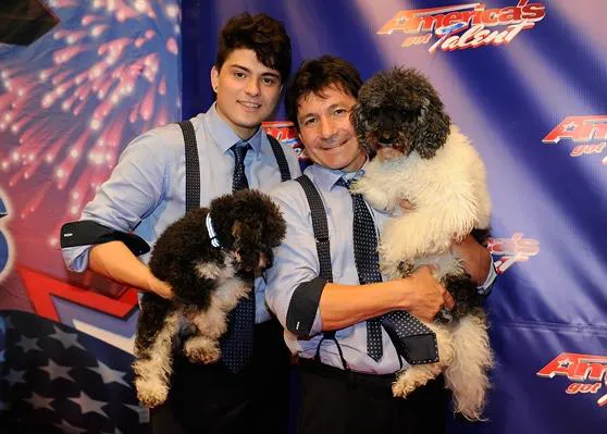 Los perros reinan en la TV: los 