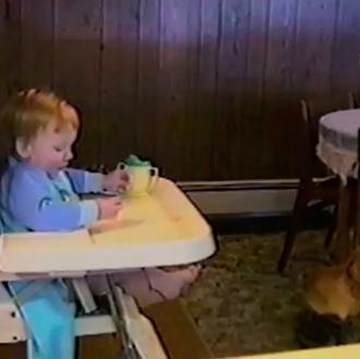 Perros y bebés, ese gran binomio... 