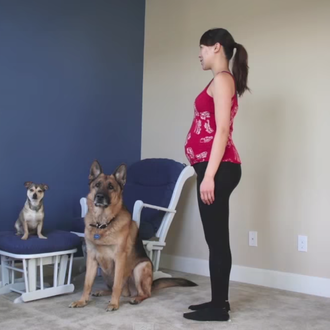 Los canes son parte de la familia: divertido vídeo de …