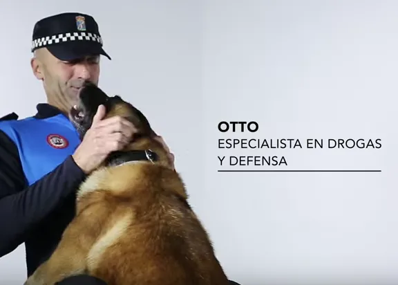 Un vídeo rinde homenaje a los mejores compañeros, los héroes de cuatro patas: #DileAlMundoLoQueValgo
