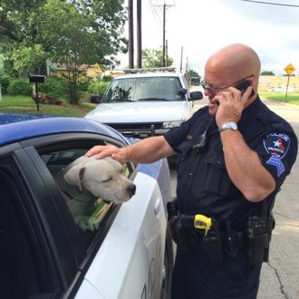 La feliz historia de un policía y un Pit bull …