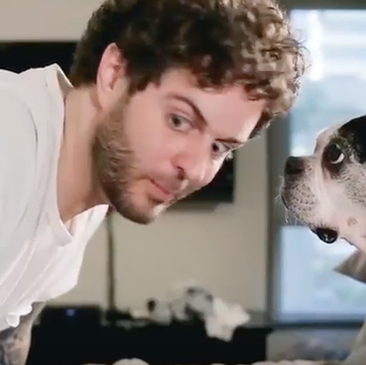 El mejor amigo del hombre, ejem, versión comedia