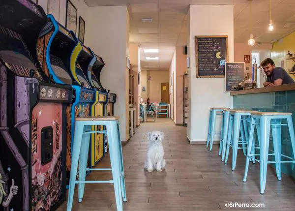 Planazo perrunamente solidario en Sevilla: Mercadillo, Photocan, juegos de mesa y ¡perretes en adopción!