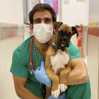 Las aventuras de un veterinario en tiempos de coronavirus: cachorrotes …