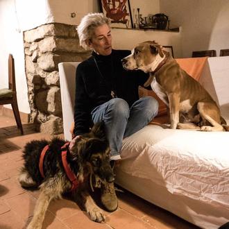 Proyecte Empathia, un santuario para canes viejitos en Tarragona, necesita …