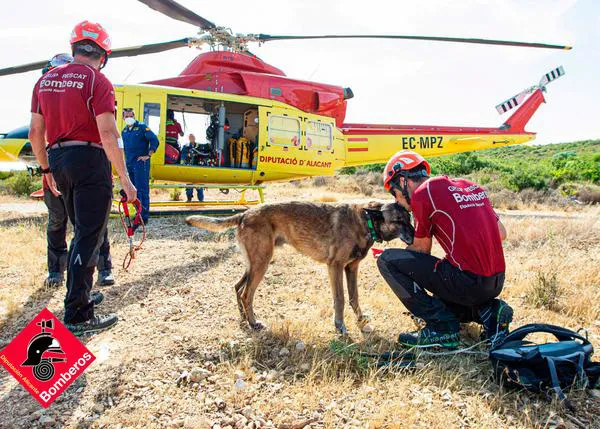 Emotiva despedida a Titán, compañero canino de los Bomberos de Alicante que participó en más de 80 búsquedas