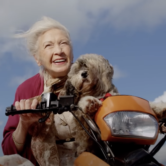 Canguros caninos de la tercera edad: una iniciativa conecta, gratuitamente …