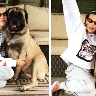 Los amores perros de Millie Bobbie Brown -Eleven en Stranger …