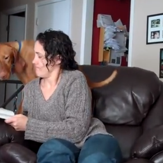 Clase de lectura con perro... o más bien lo contrario