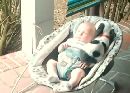 La siesta de una bebé y un cachorro: vídeos que son el bálsamo perfecto para cualquier día