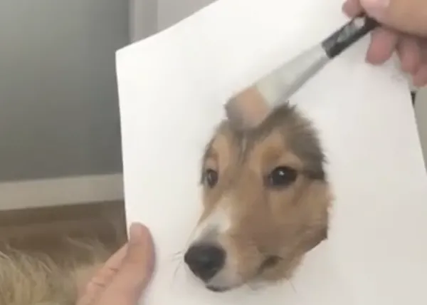 ¿Quieres saber cómo hacer un retrato en 3D de tu perro? Es la nueva moda que triunfa en instagram