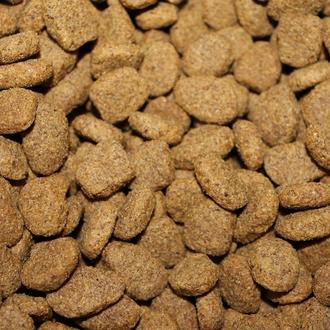 ¿Qué son los subproductos en los piensos para perros y …