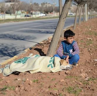 Un niño refugiado sirio trata de acompañar y ayudar a …