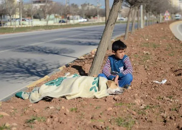 Un niño refugiado sirio trata de acompañar y ayudar a una perra malherida