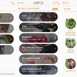 Las intoxicaciones animales aumentaron en un 13% por el confinamiento …