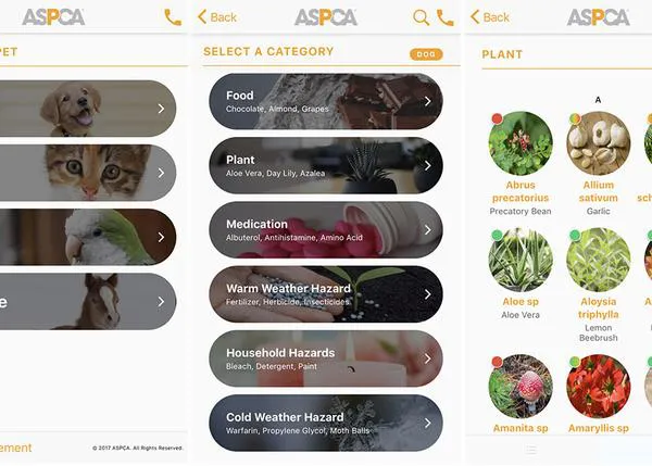 Las intoxicaciones animales aumentaron en un 13% por el confinamiento: una app ofrece información clave