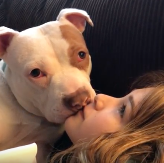 El campeón de los besos perrunos y embajador de la …