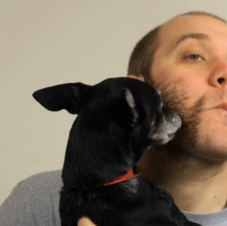 Querida barba, perruna: un friki vídeo sobre una barba y …