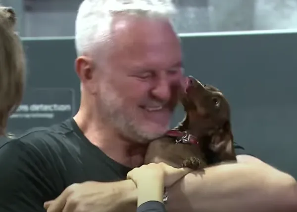 El gran viaje de una pequeña perra para reunirse con su familia: 16.000km de separación debido a la pandemia