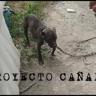 El infierno del Barranco de la Muerte en la Cañada …
