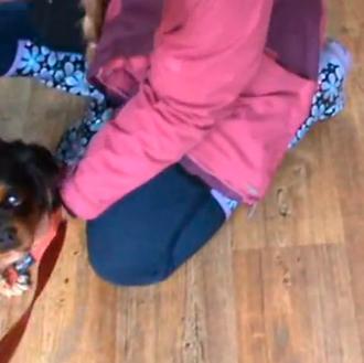 La historia de un reencuentro feliz: Lily vuelve a casa …