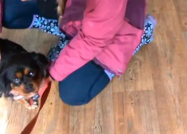 La historia de un reencuentro feliz: Lily vuelve a casa tras 22 meses