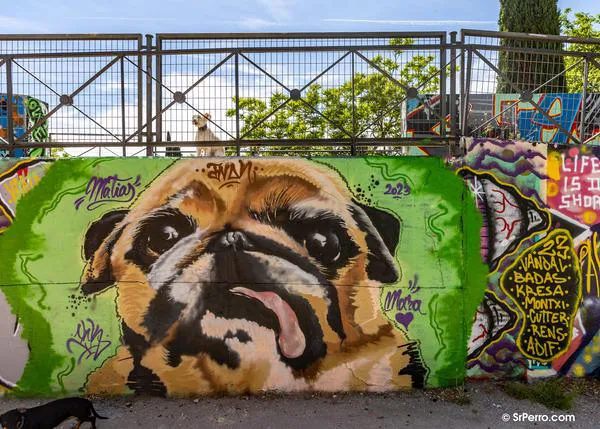 Formación (gratuita) para personas que se plantean adoptar un perro o acaban de hacerlo, e-Dopta