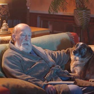 Dog and Senior Foundation: o cómo lograr que los mayores …