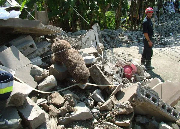 Un equipo de bomberos españoles y sus perros colaboran en la búsqueda de supervivientes en Beirut