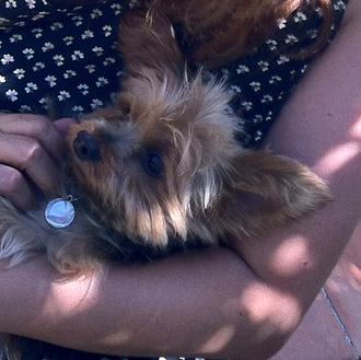 Isabel Coixet y Noodles: una entrevista canina de SrPerro