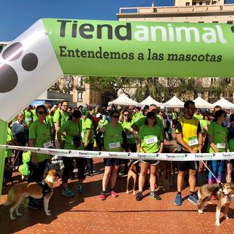 12.000 personas y miles de canes se lo han …