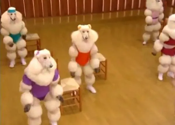 El vídeo perruno más raruno del universo, garantizado: una clase de aerobic con caniches