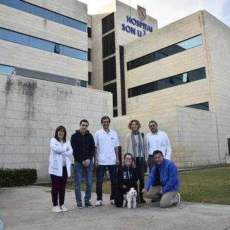 DOGspital llega a Mallorca: los pacientes de Son Llatzer podrán …