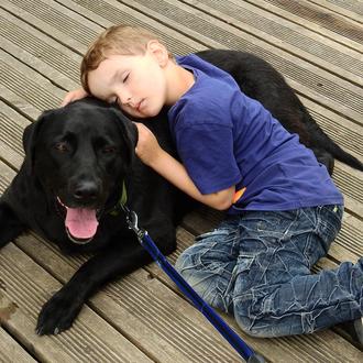 Los perros de intervención asistida reducen el estrés en niños …