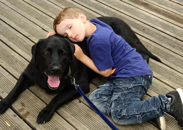 Los perros de intervención asistida reducen el estrés en niños más que los ejercicios de relajación