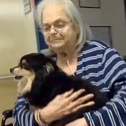 Una anciana se reúne por casualidad con el perro al …