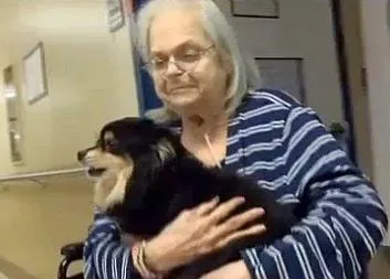 Una anciana se reúne por casualidad con el perro al que tuvo que entregar en una perrera