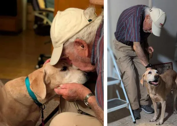 Los calcetines usados de un anciano de 93 años... ¡¡clave para encontrar a su perra, que llevaba casi dos semanas perdida!!