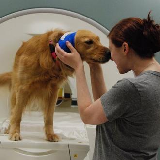 Dentro de la mente de un perro con Gregory Berns …