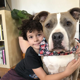 La (divina) historia de una perra niñera y sus amistades …