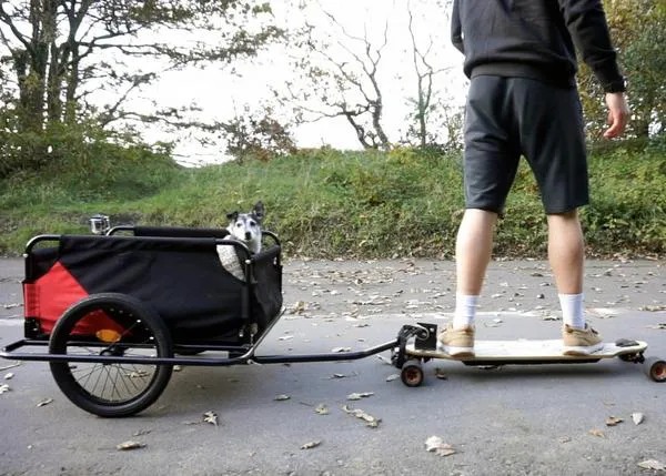 Las aventuras de un Jack Russell de 16 años con su humano skater