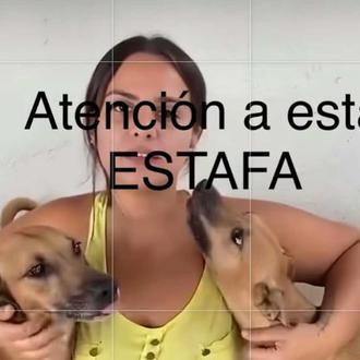 OJO con las cuentas en redes sociales de falsas asociaciones …