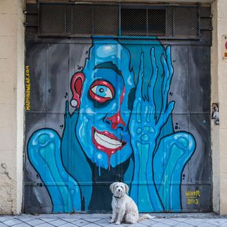 Nuestra ropa puede afectar al estado emocional de los perros …