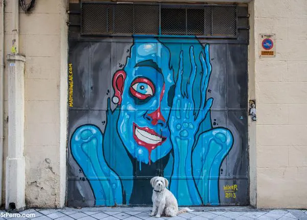 Nuestra ropa puede afectar al estado emocional de los perros: el aposematismo