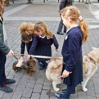 SrPerro con Blondie y Pepe, los protas de Pepito & Co