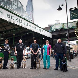 Los perros policía que ayudaron tras los atentados de 2017 …