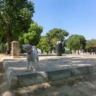 Montequinto se moviliza para conseguir un área canina en condiciones …